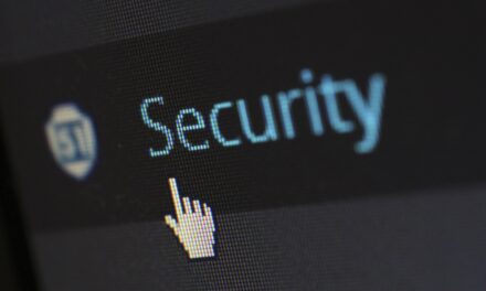 Ciberseguridad y privacidad en línea